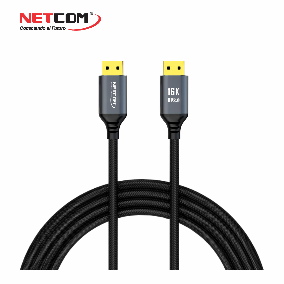 PE-DP02022 PE-DP02022