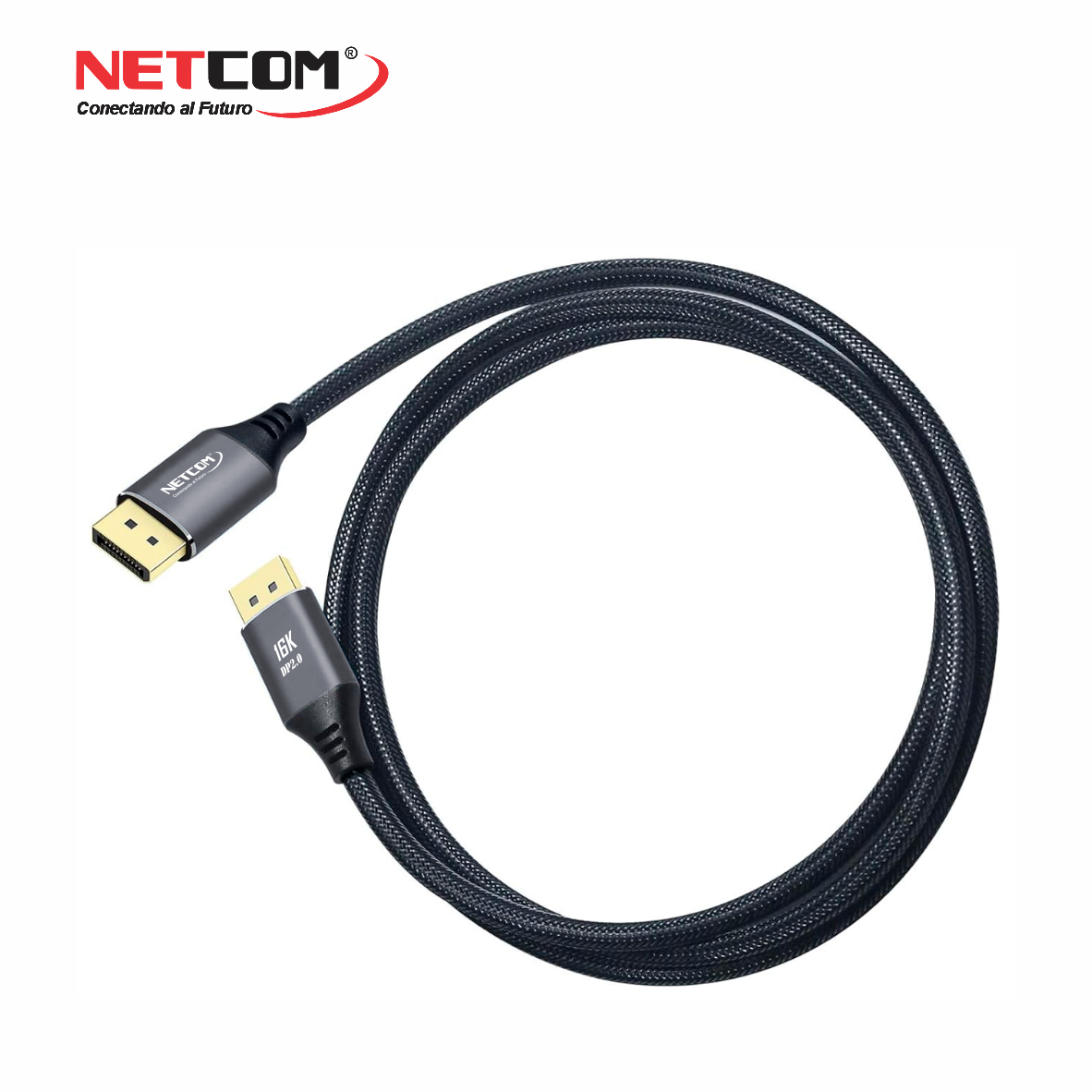 PE-DP020222 PE-DP020222