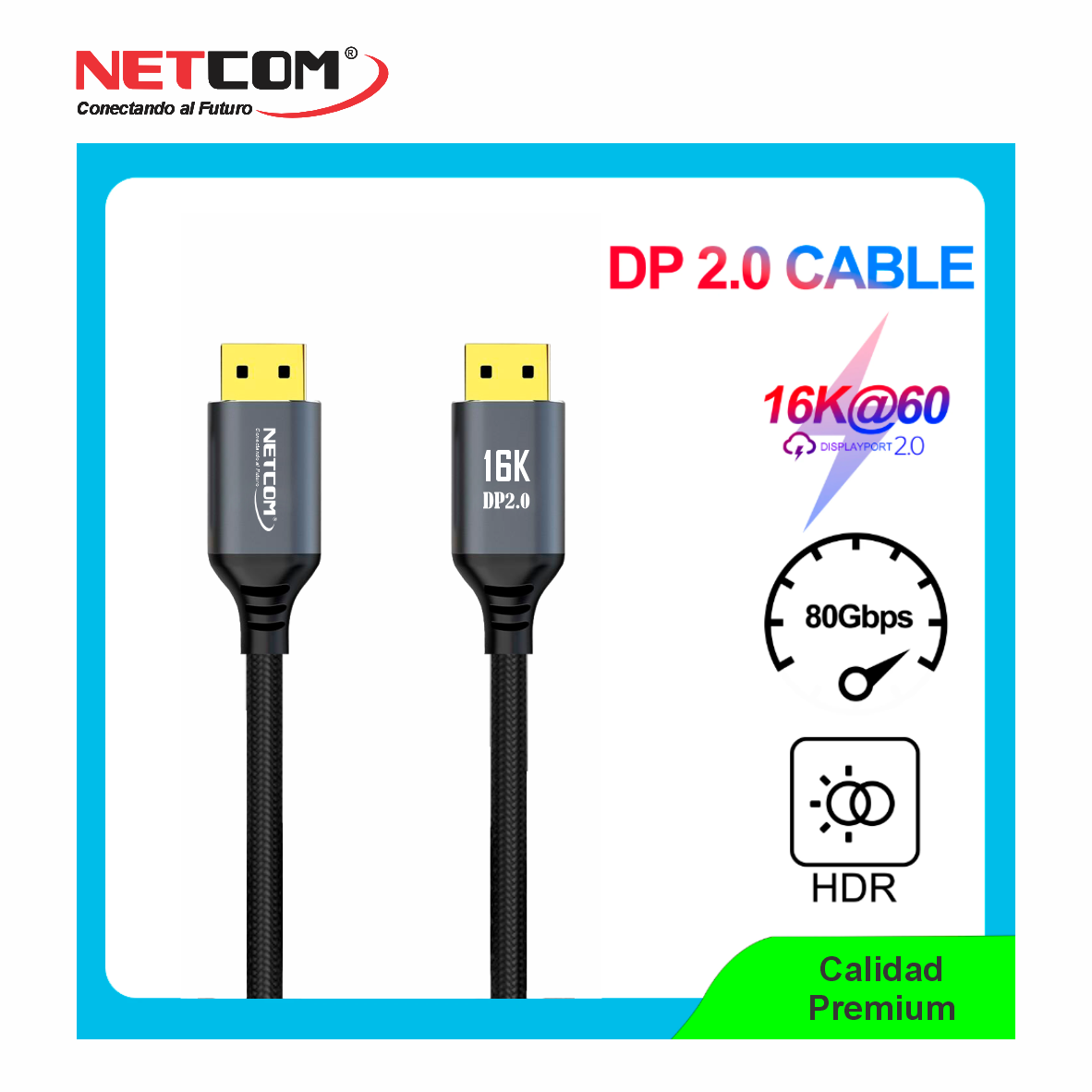 PE-DP0202222 PE-DP0202222