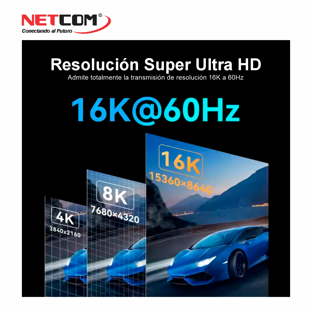 PE-DP02022222 PE-DP02022222