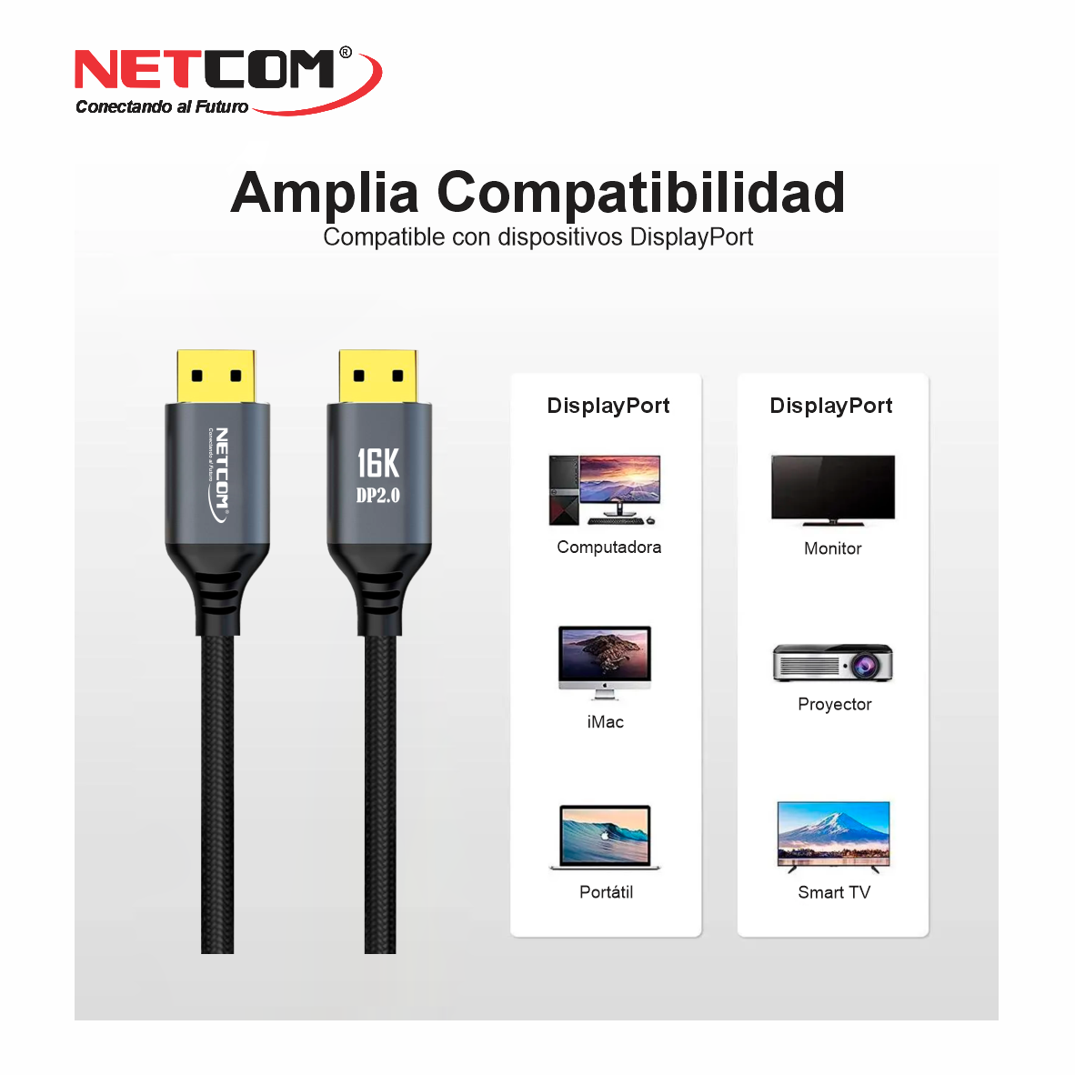 PE-DP020222222222 PE-DP020222222222