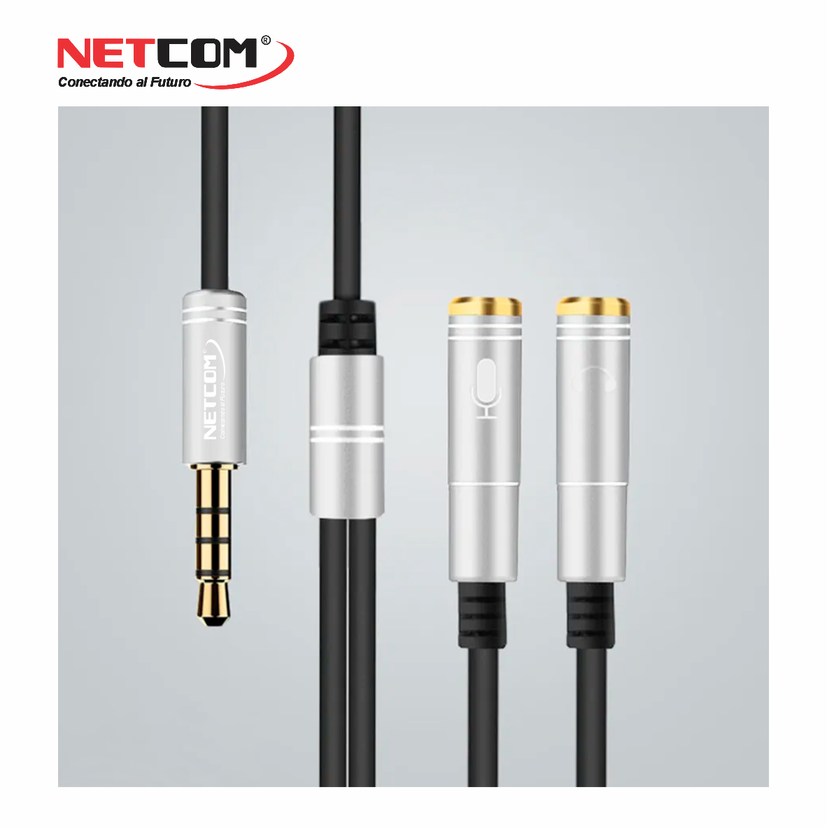 PE-RS007555 PE-RS007555