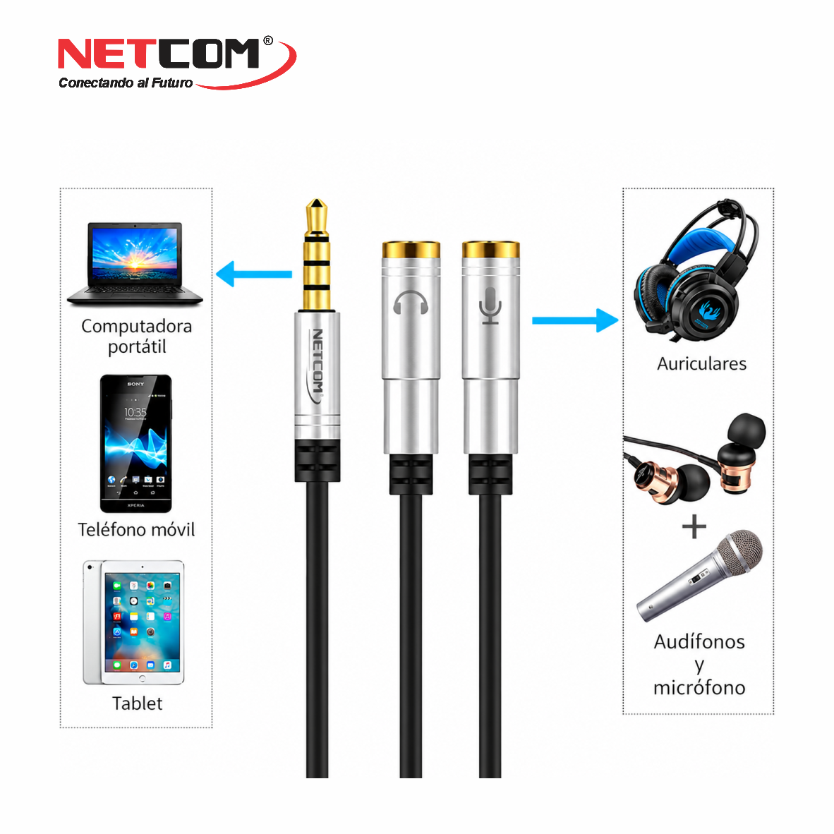 PE-RS0075555 PE-RS0075555