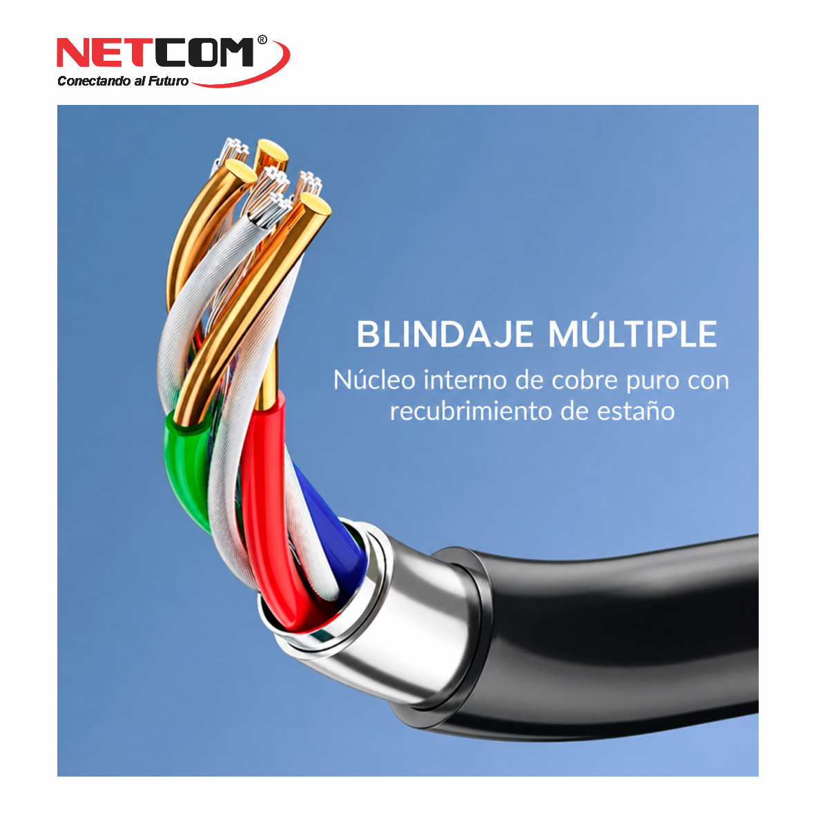 PE-RS008666666666 PE-RS008666666666