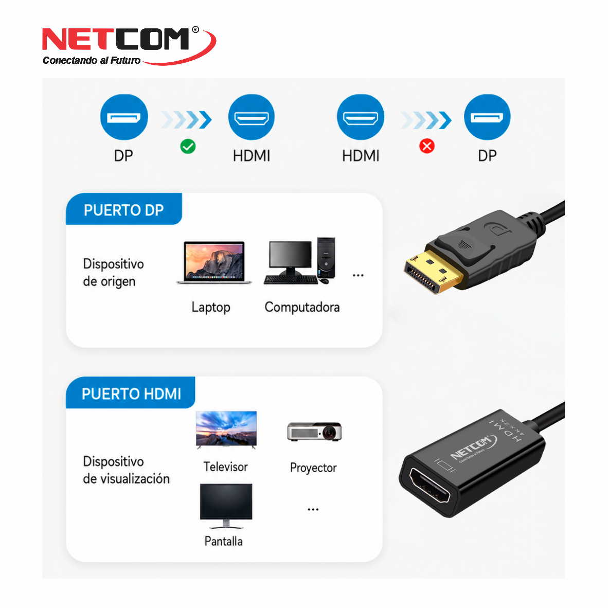 PE-DP0185555 PE-DP0185555