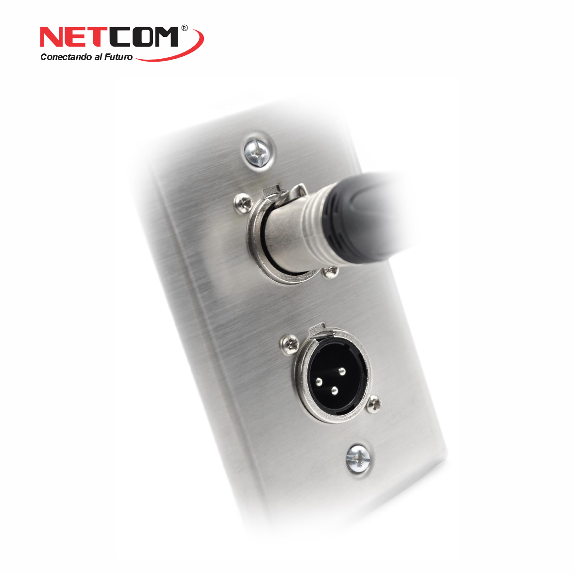 PE-XLR002222 PE-XLR002222