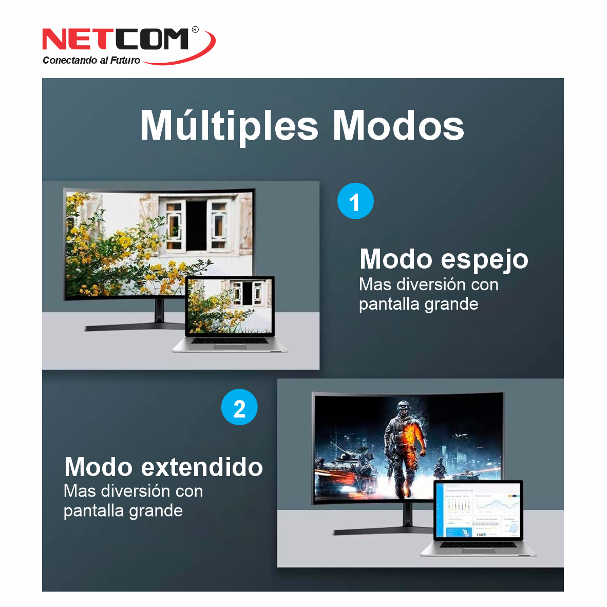 PE-MDP1022222 PE-MDP1022222