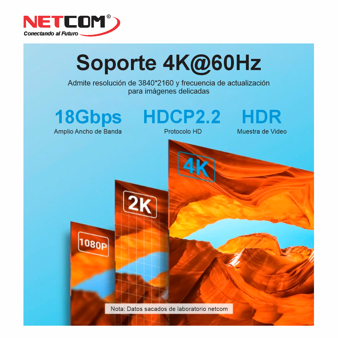 PE-HD0112LLLLLLLL PE-HD0112LLLLLLLL