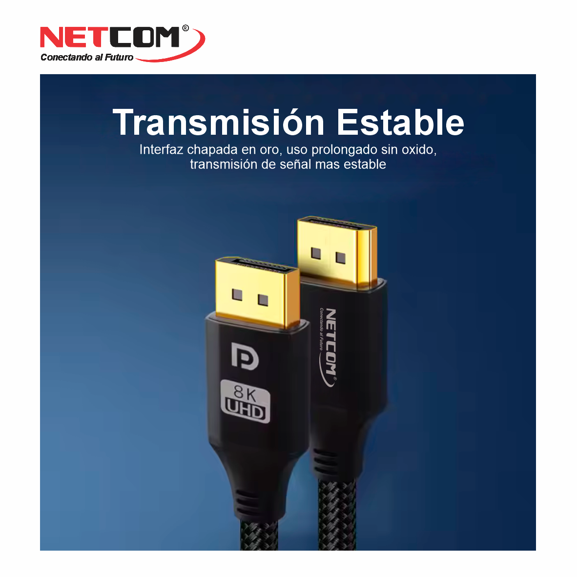 PE-DP012222222 PE-DP012222222