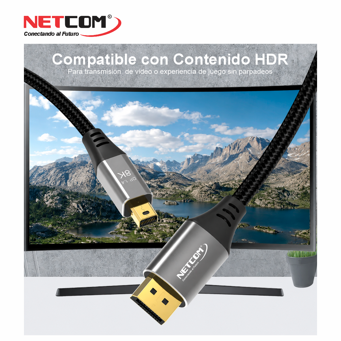 PE-DP013666666666 PE-DP013666666666