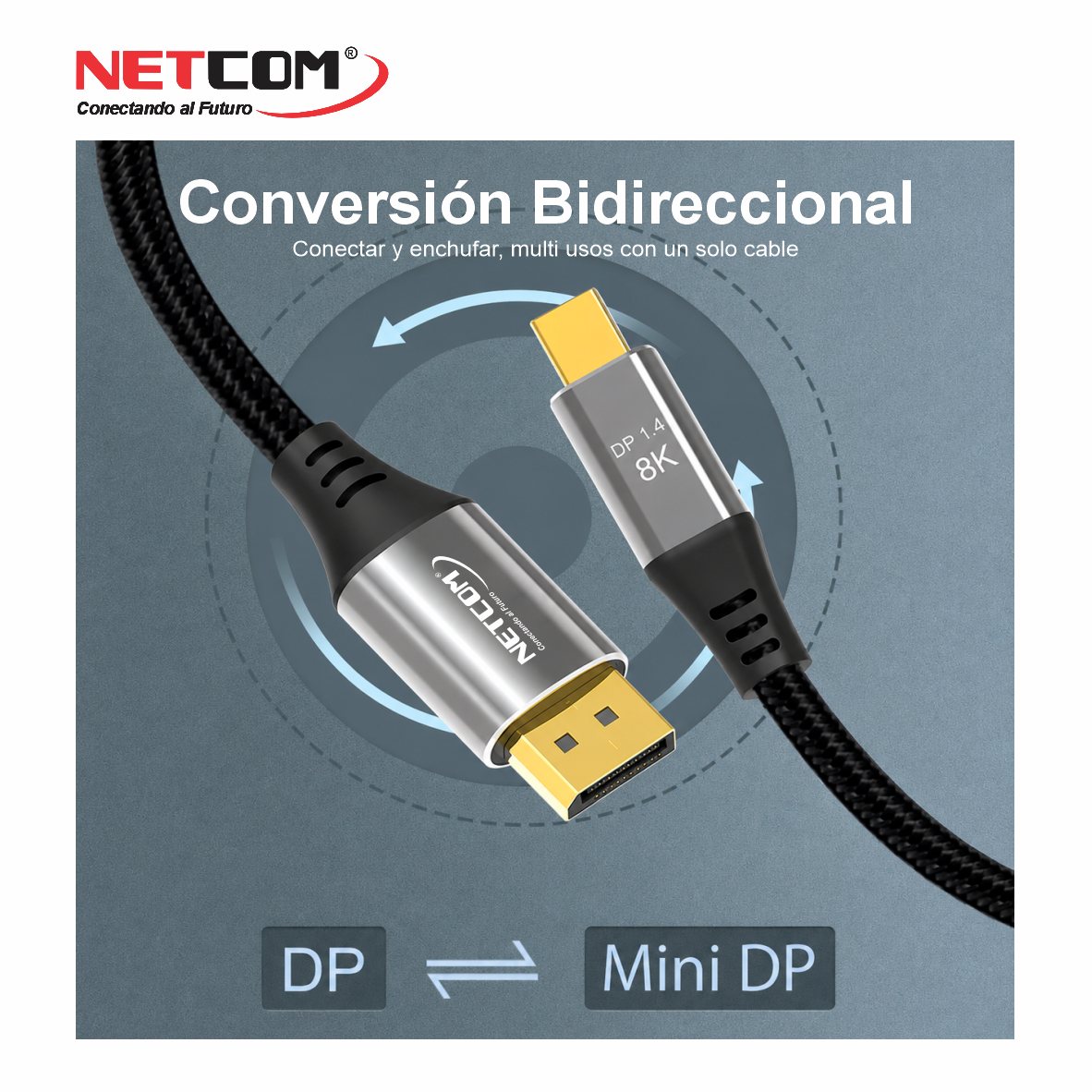 PE-DP0136666666666 PE-DP0136666666666