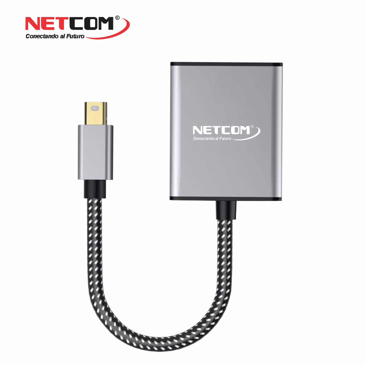 PE-DP01755 PE-DP01755