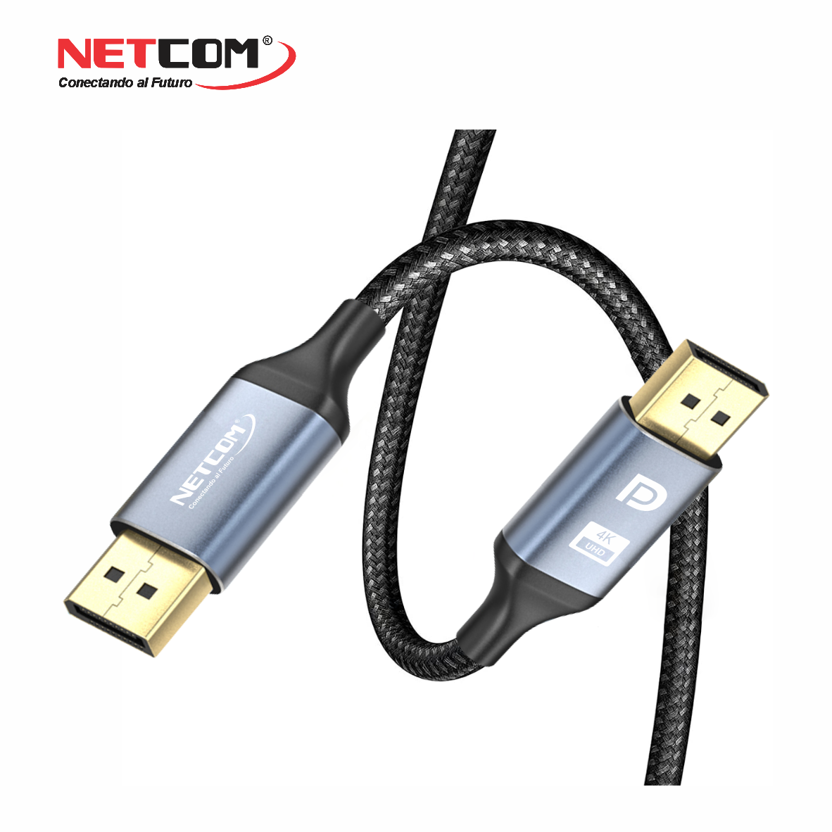 PE-DP01922 PE-DP01922