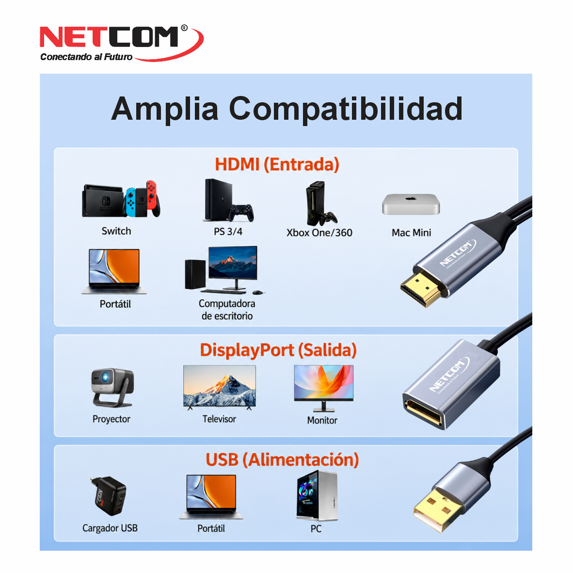 PE-DP019777 PE-DP019777