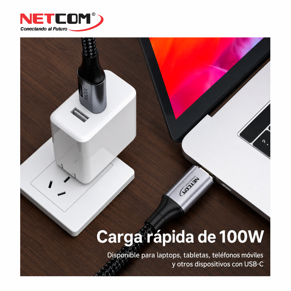 PE-PH02666666 PE-PH02666666