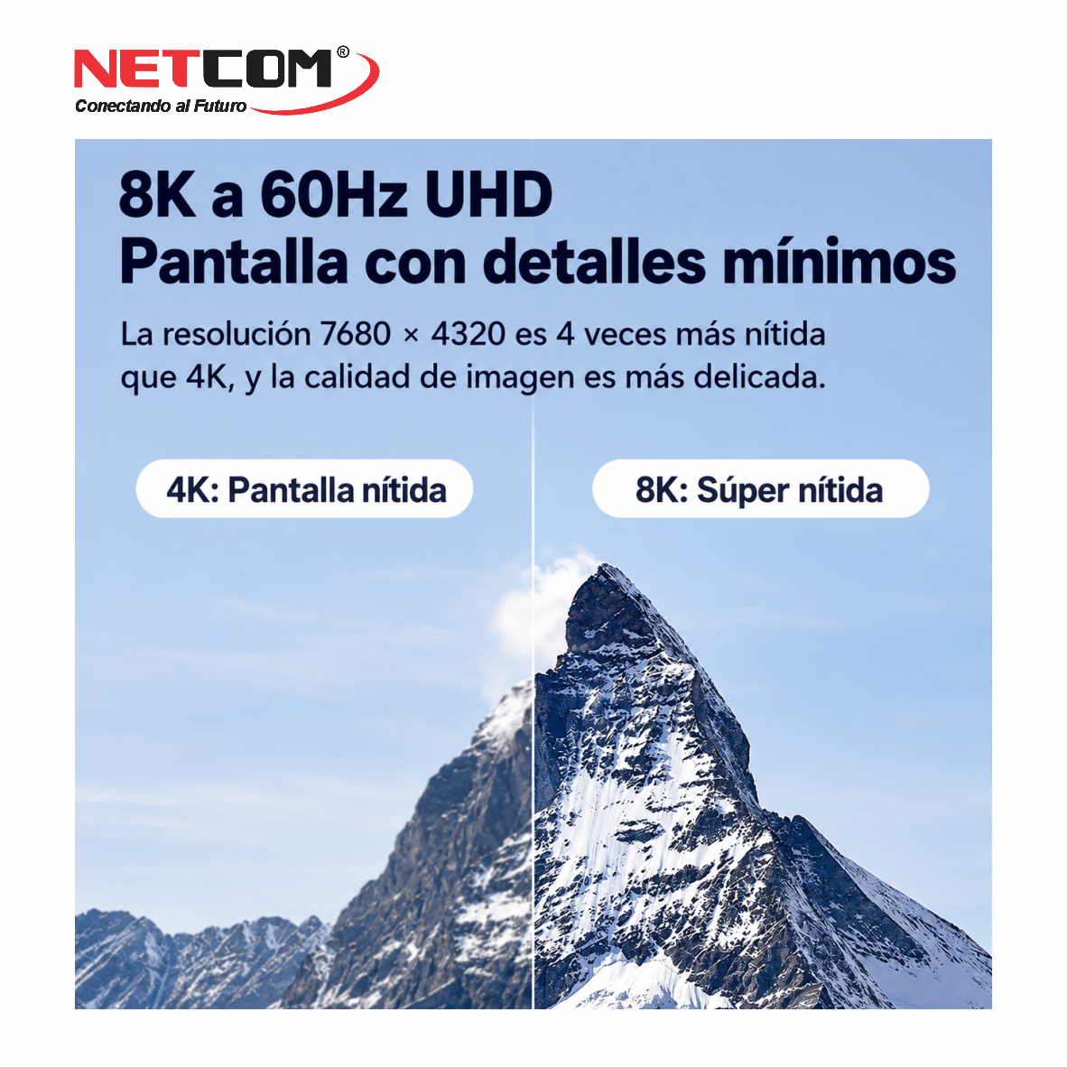 PE-PH026666666 PE-PH026666666