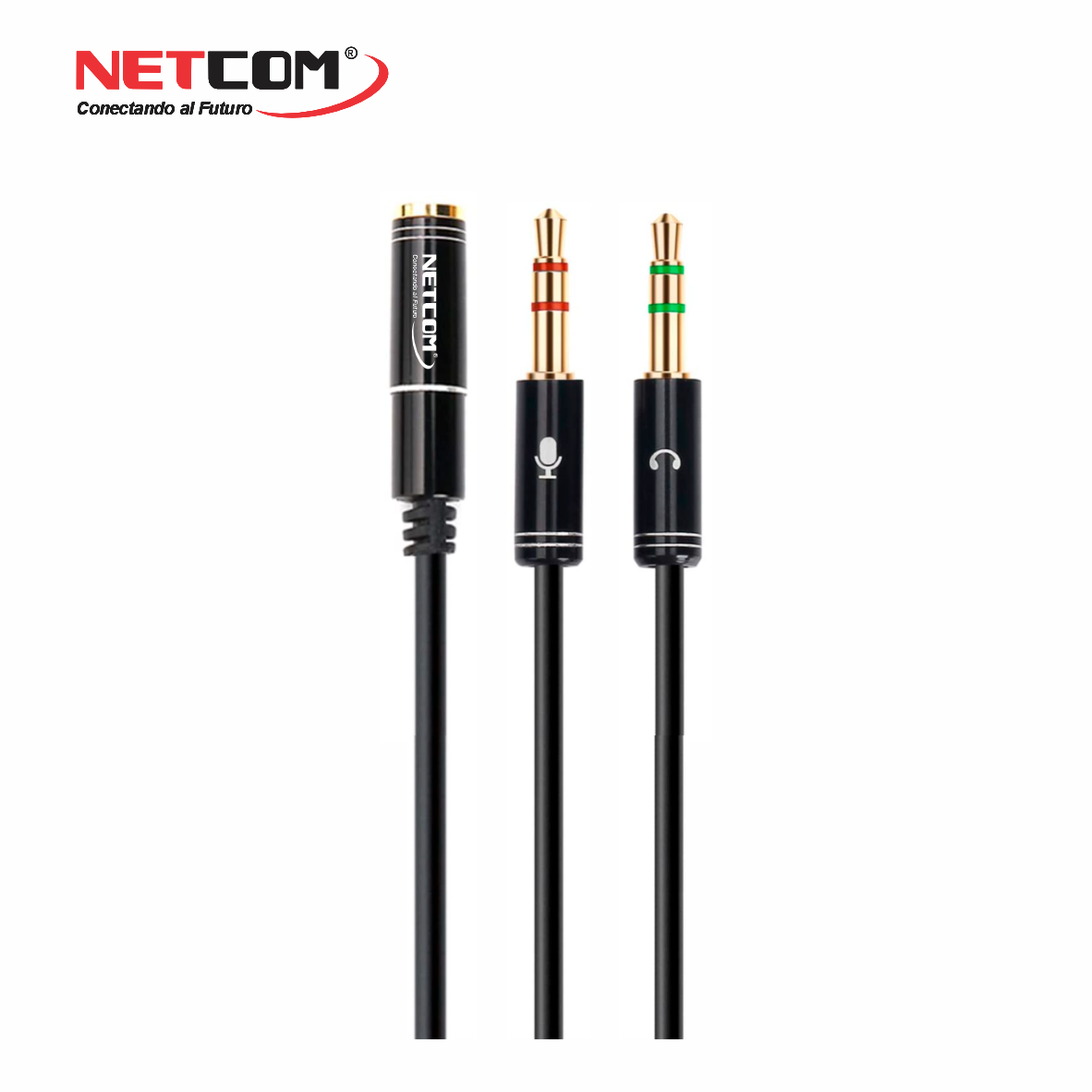 PE-RS00766 PE-RS00766