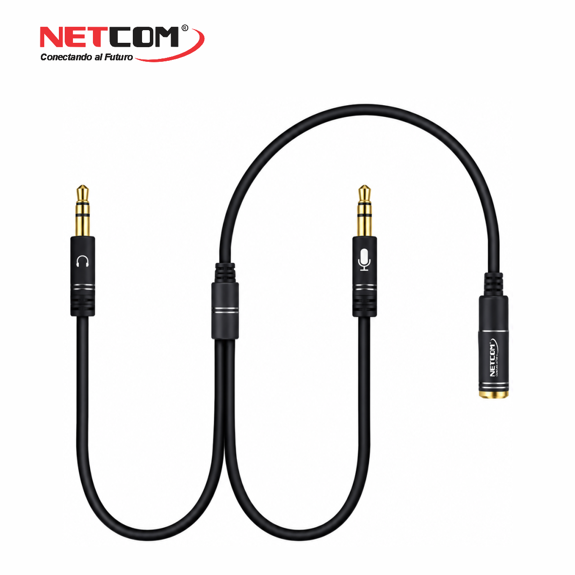 PE-RS007666 PE-RS007666