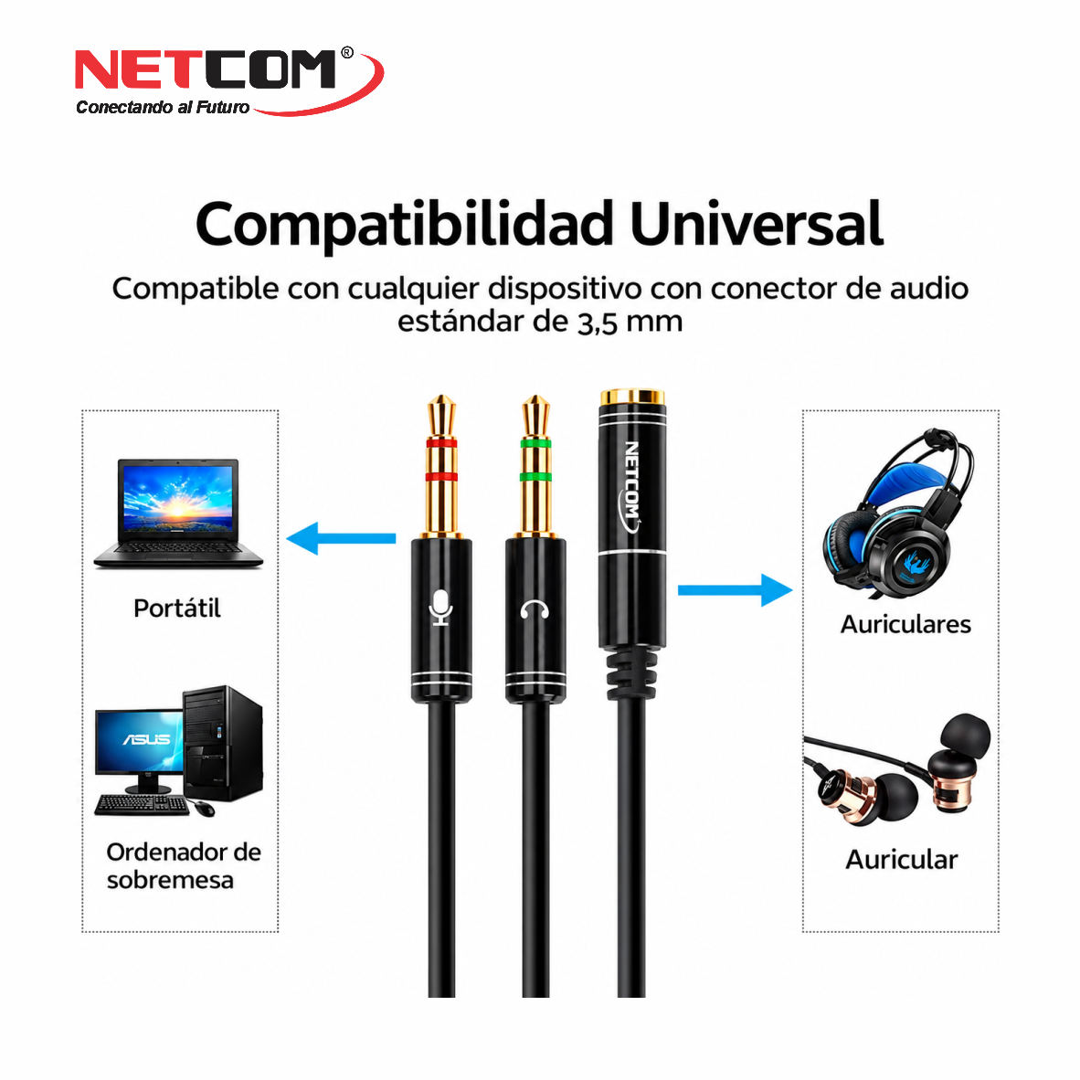 PE-RS0076666 PE-RS0076666