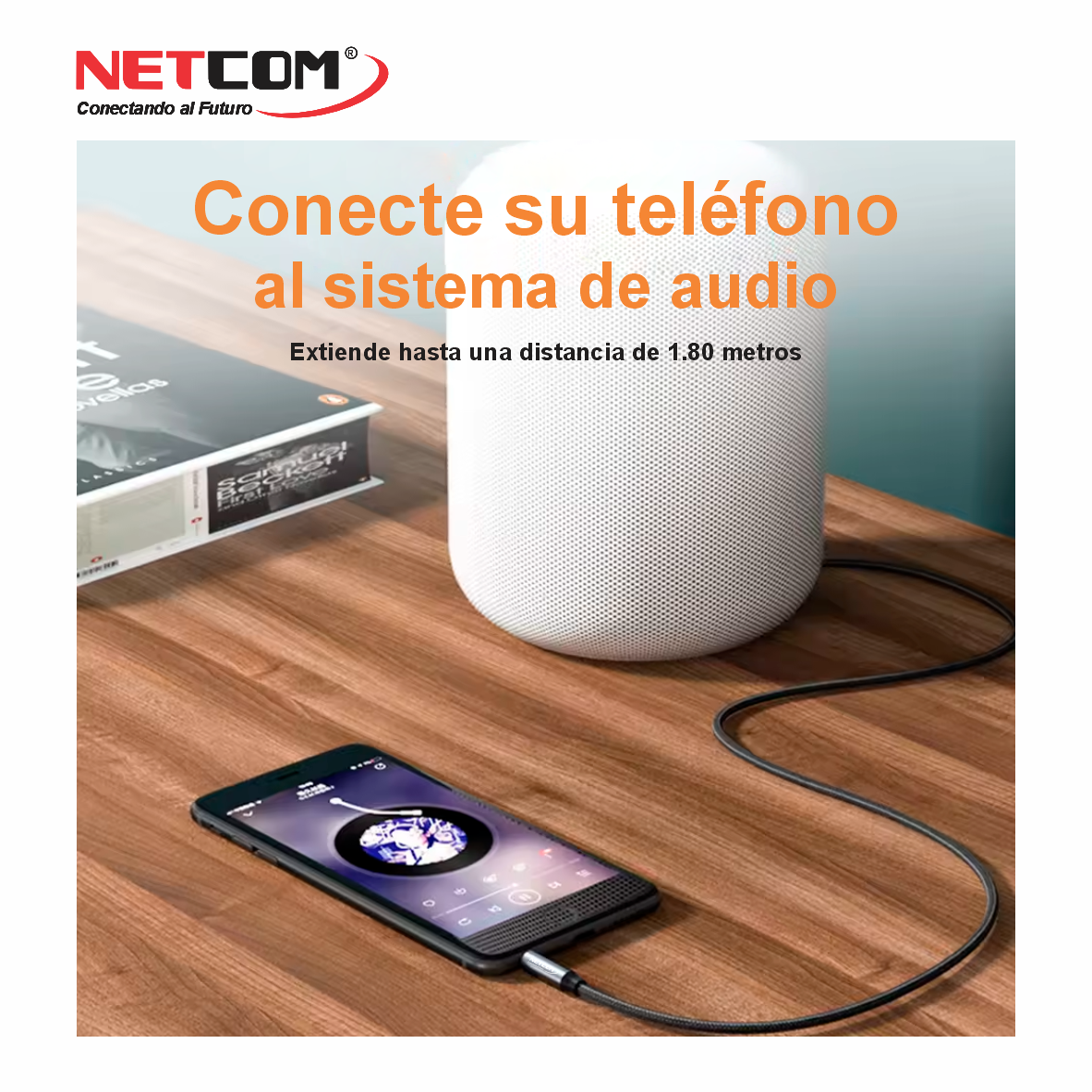 PE-RS01088888 PE-RS01088888